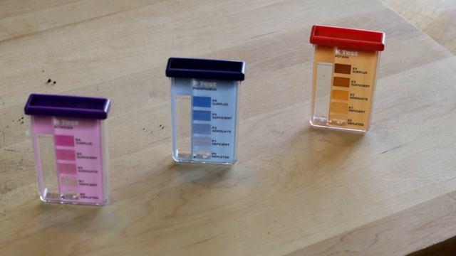 Garden Soil Testing w/ Rapid Test Kit - Instructions and Demo (PH, Nitrogen, Phosphorous, Potassium смотреть онлайн