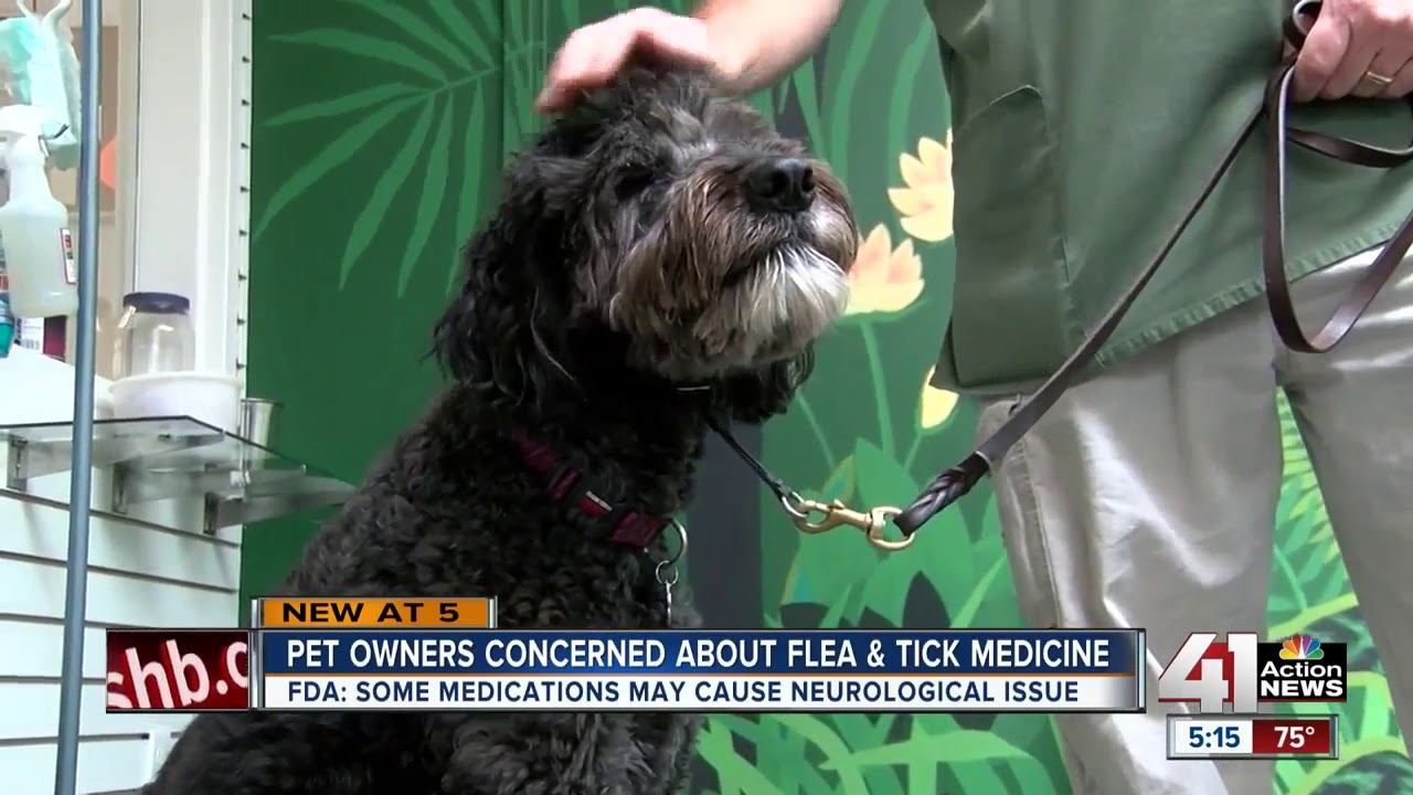 FDA: Flea and tick medicine could cause seizures смотреть онлайн