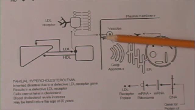 Pasto's biology cells cholesterol fig 3-9 смотреть онлайн