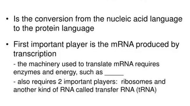 the structure and function of dna смотреть онлайн