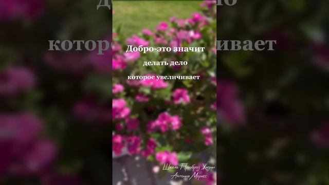 Что такое Добро? смотреть онлайн