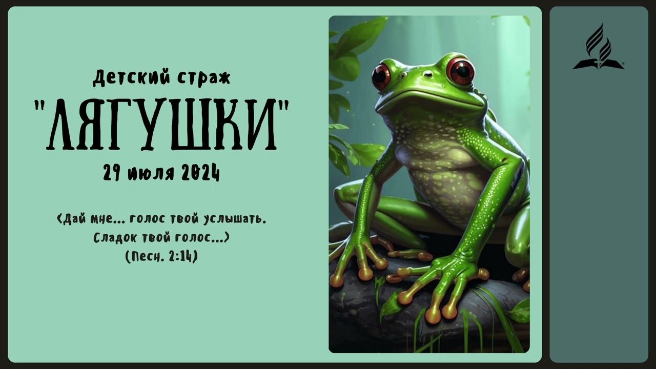 Детский утренний страж. 29 июля 2024 г. | «Лягушки» смотреть онлайн