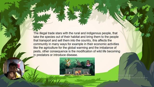 Poaching and illegal trafficking of flora and fauna in Colombia, illegal timber trade. смотреть онлайн