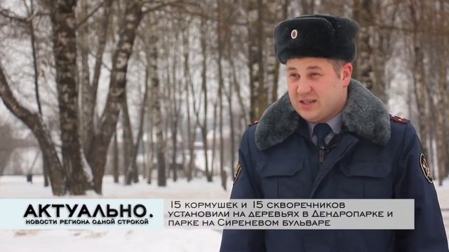 Установка кормушек и скворечников в скверах Пскова смотреть онлайн