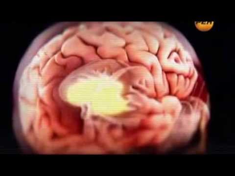 Живая тема Тайны мозга смотреть онлайн