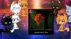 Реакция КВ на тик ток 3/? извини что мало и всех, с 31 Января завтра, уже Февраль (01.02.2023)