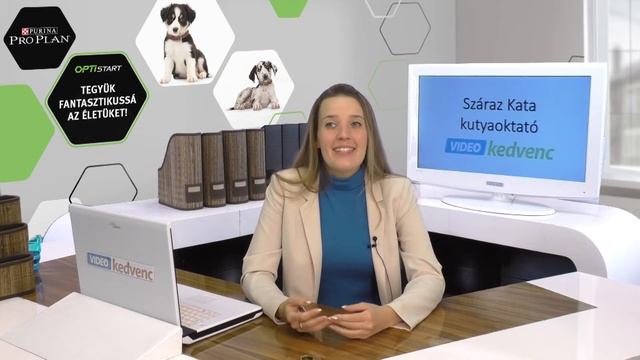 Hogyan adjunk be gyógyszert kutyáknak hatékonyan! смотреть онлайн