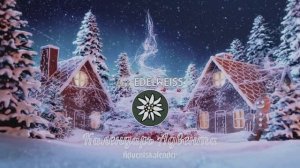 "Немецкое Рождество: Магия Адвента и Рождественских Обычаев 2024" "Deutsche Weihnachten: Advents"