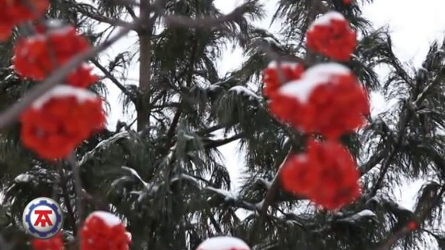 Инструкция по укладке АВТОТЕПЛО смотреть онлайн