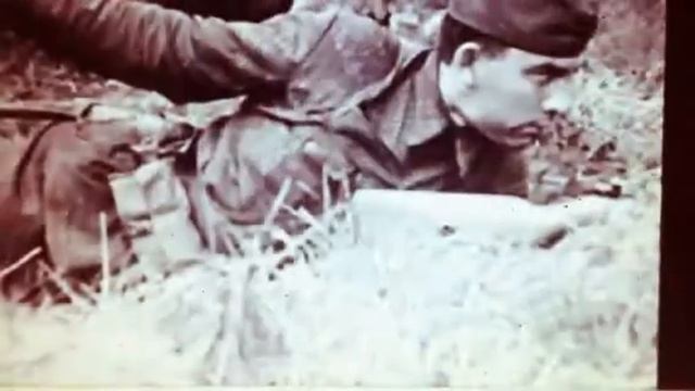 Р. Рождественский На земле безжалостно маленькой.......  читает Сергей