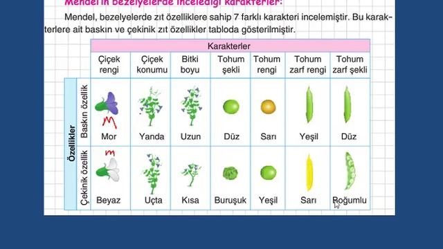 kalıtım 1 смотреть онлайн