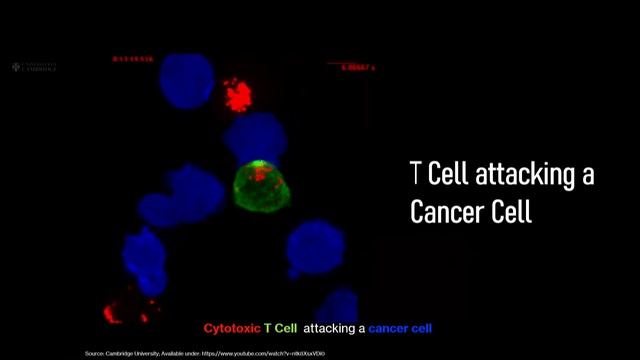 LIVE 🔴 PASSION FOR KNOWLEDGE 🔴 ZUZENEAN / EN DIRECTO 🔴 2023/10/02 смотреть онлайн