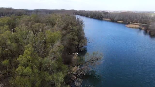 Restoring The Floodplain Forests of Slovakia смотреть онлайн