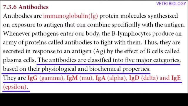 12th Bio Zoology Chapter 7 Human health and Diseases, Antigens & Antibodies смотреть онлайн