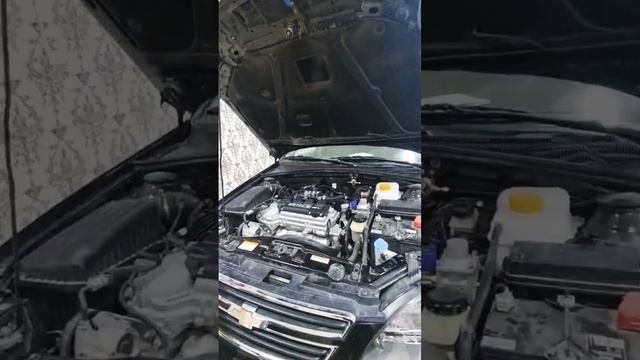 Jentraga 90l Metan gaz qoyildi+998972452090 смотреть онлайн