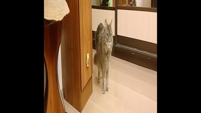 Филя вышел с проверкой, что делает мама