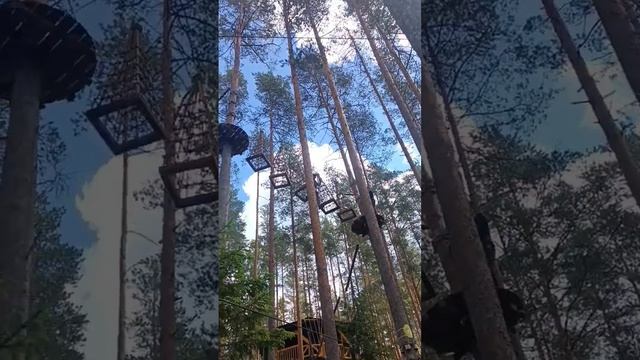 Веревочный парк "Норвежский лес" #спорт #лес #sports #extreme #высота смотреть онлайн