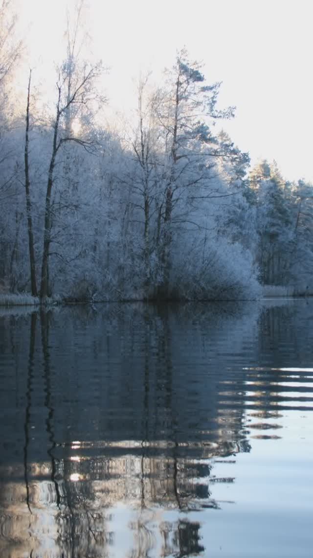 Карельский перешеек 2007. Иней на деревьях. Большие скалы. Ноябрь 2007г (Часть 1).mp4 смотреть онлайн