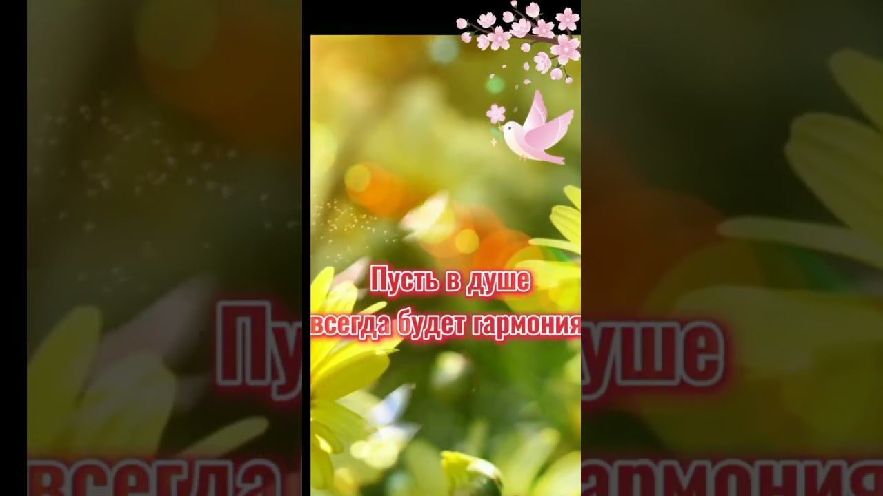 С Добрым Утром !!🌞😘❤ смотреть онлайн