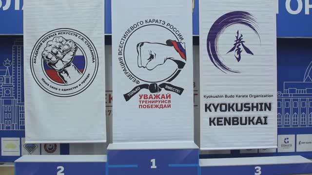 Первенство г. Екатеринбурга по всестилевому каратэ - 10 ноября 2024 года смотреть онлайн