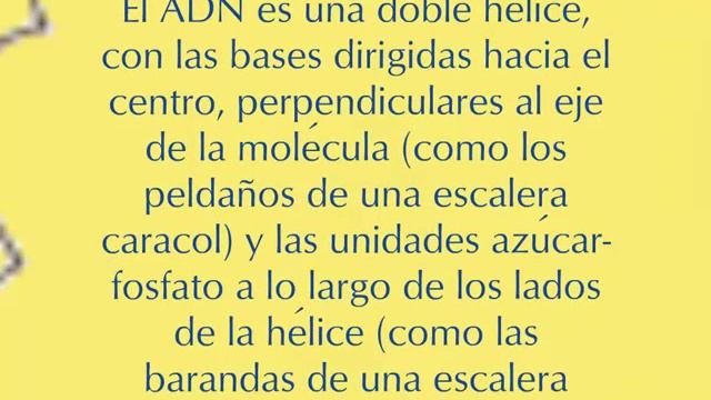 La Molécula de ADN смотреть онлайн