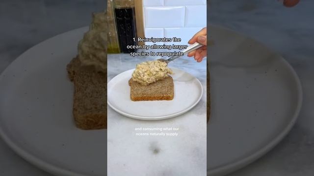 Eating Lower On The Food Chain #wildplanet #wildplanetfoods #mackerelrecipe #sustainability #fish