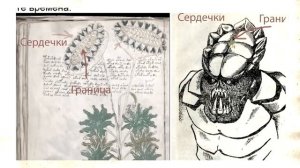 Расшифровка Манускрипта Войнича