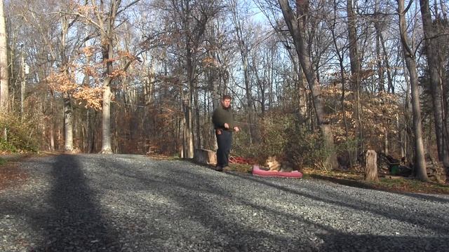 Dart | German Shepherd Dog Training Boonville, NC смотреть онлайн