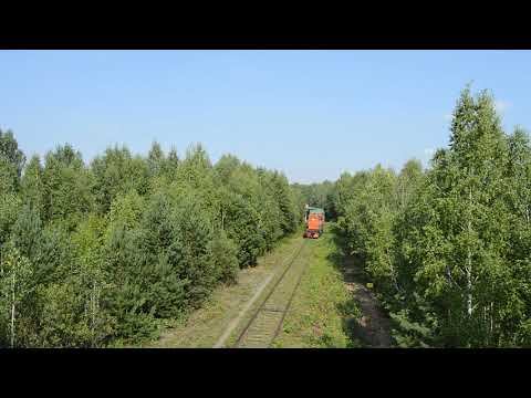 ТГМ6А-1316 смотреть онлайн