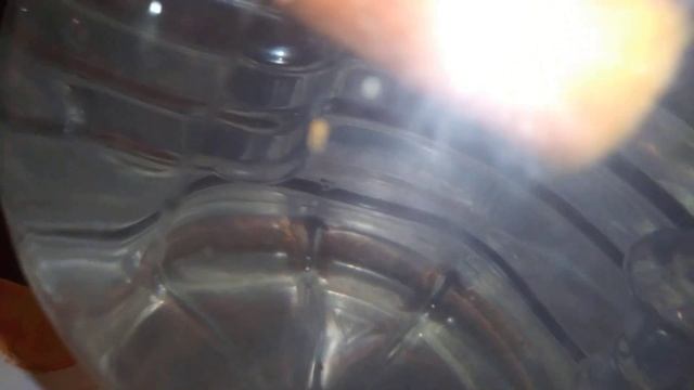 How to Ferment vegetables into your unchlorinated water смотреть онлайн