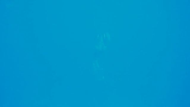 Freediving Elevator Ride смотреть онлайн