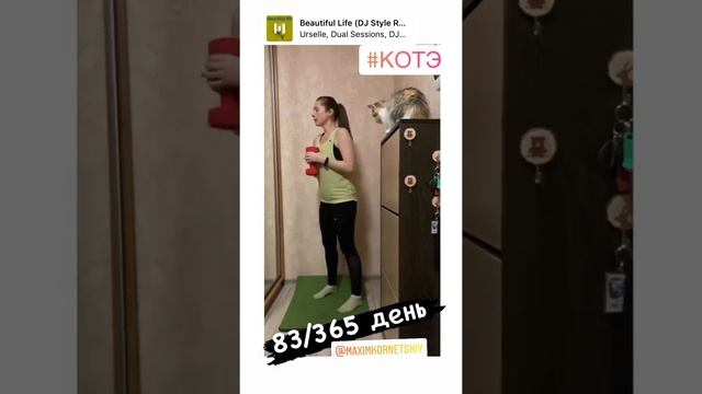 #котэ #приседания #дисциплина #кошки #Мотиватор #спортнормажизни #делайсвоетело #животныедома смотреть онлайн