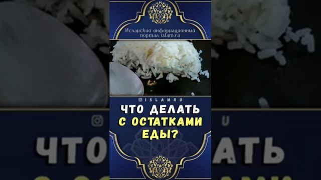 Что делать с остатками еды? смотреть онлайн