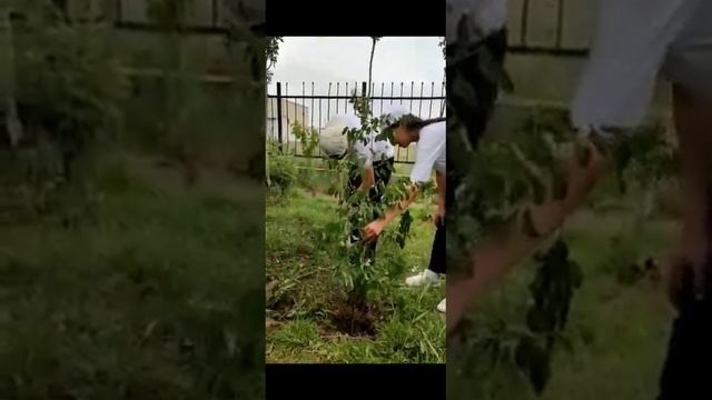9 Б челлендж смотреть онлайн