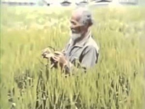 Масанобу Фукуока  Сад природы