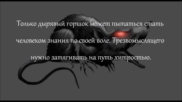 К. Кастанеда - Цитата 20 смотреть онлайн