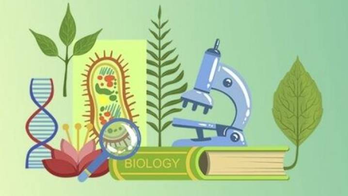 Биология 9 класс. Питание клетки. - смотреть онлайн