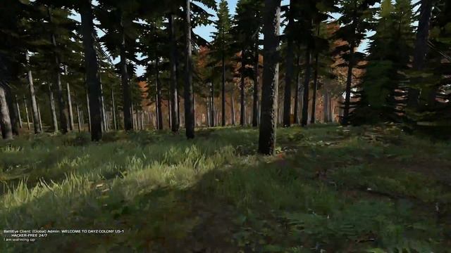 DayZ 2016 Выживание #10 Новое оружие смотреть онлайн