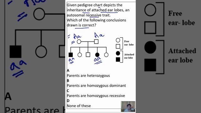 Given pedigree chart depicts the inheritance of attached ear lobes, an autosomal recessive trait смотреть онлайн