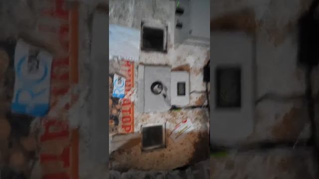 Вылупление цыплят смотреть онлайн