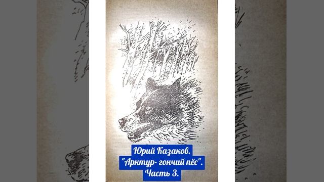 Ч.3. "Арктур - гончий пёс". Юрий Казаков. смотреть онлайн