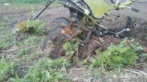 фрезы целина, неудачное испытание, сорняки сопротивляются .