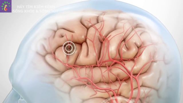 7 sai lầm tệ hại "Bữa Tối" cần loại bỏ ngay lập tức | Sống Khỏe смотреть онлайн