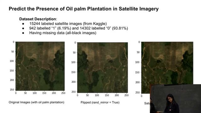 M/10 Predict the presence of oil palm plantation in satellite imagery смотреть онлайн