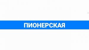 Записи информаторов Петербургского метро. Сборник 20 (2004-2009: Часть 5)