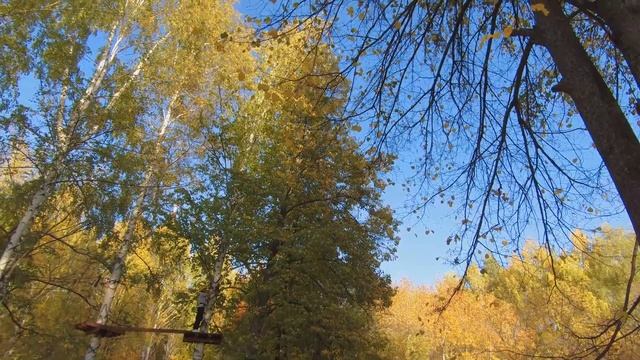 24.09.2023 Парк семья г.Нижнекамск.SJ 8 PRO+Gimbal 2