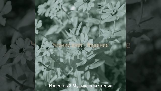 Впечатление (Обучение) смотреть онлайн