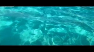 Сура 108 Аль- Каусар   Изобилие   ( С переводом )