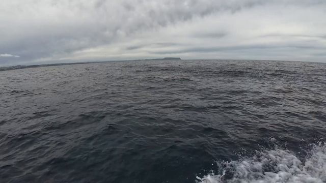 How to rig HARD BODY LURES for trolling (Tuna fishing) смотреть онлайн