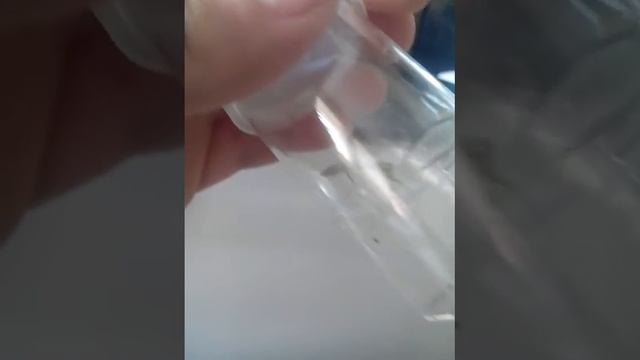 Moje małe modliszki смотреть онлайн